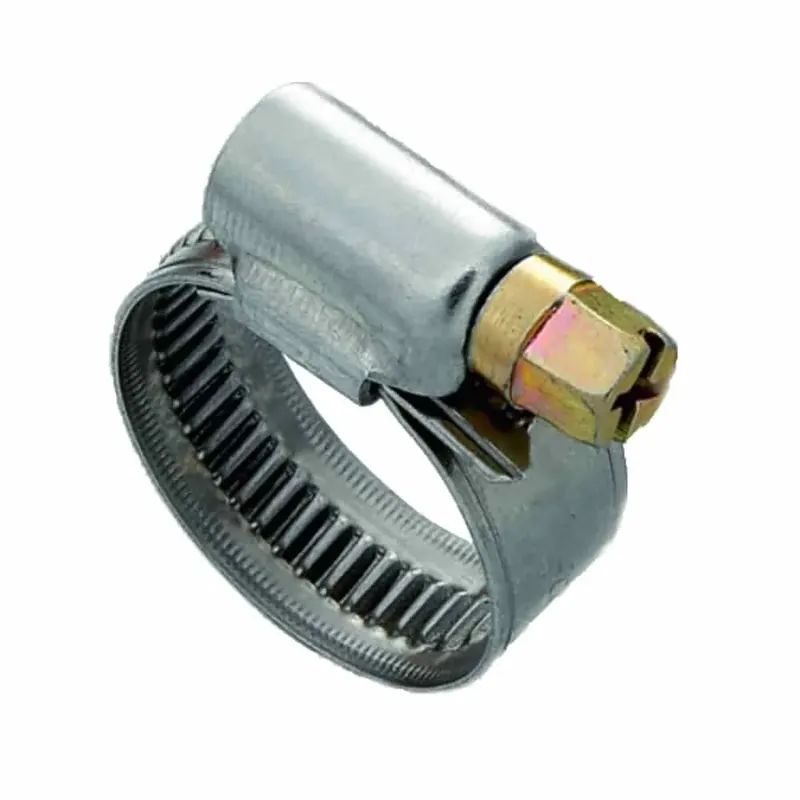 Schlauchschellen, Edelstahl, 9mm, 80-100mm, W2 - Expressversand